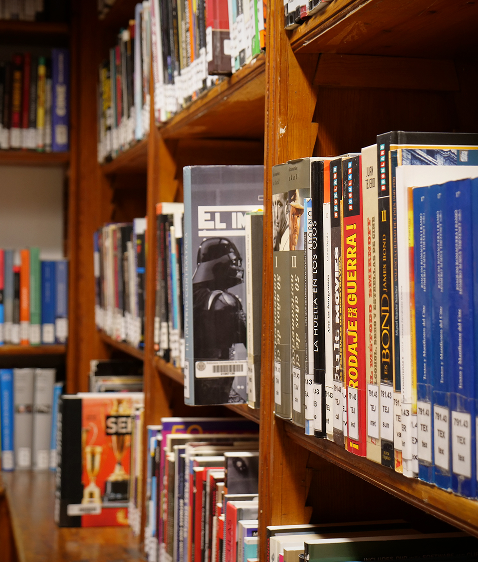 Detalle de los libros situado en una de las numerosas estanterías con las que cuenta la Biblioteca de la Facultad de Comunicación y Documentación