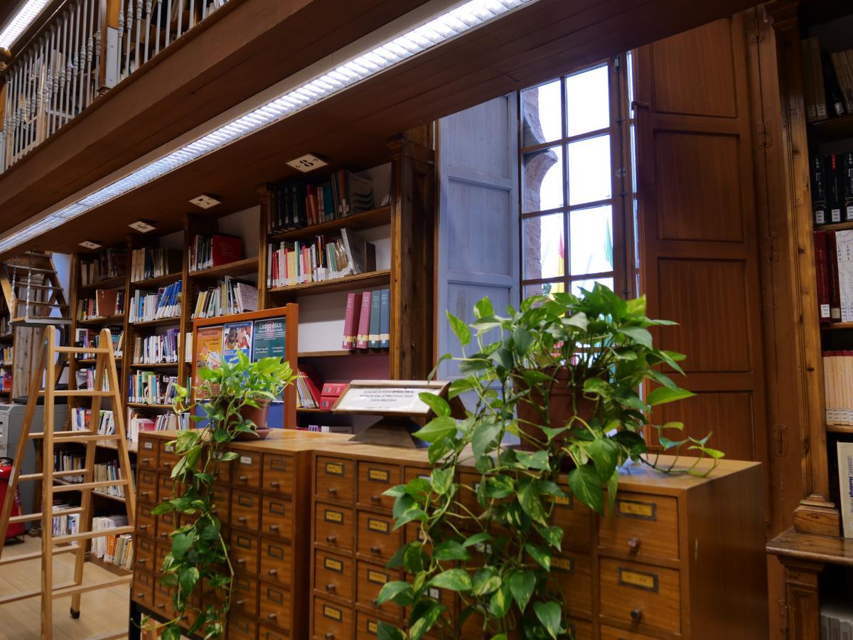 Ventana y estanterías en biblioteca, al frente archivador con plantas encima