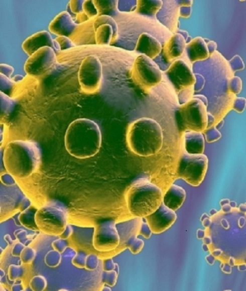 Coronavirus Coronavirus